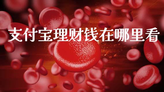 支付宝理财钱在哪里看_https://m.15771688.com_道指实时行情_第1张