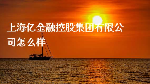 上海亿金融控股集团有限公司怎么样_https://m.15771688.com_期货开户_第1张