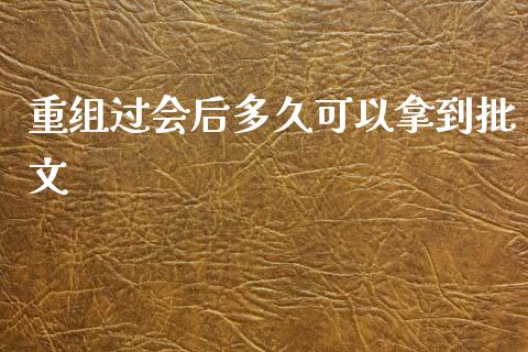 重组过会后多久可以拿到批文_https://m.15771688.com_美国道指_第1张