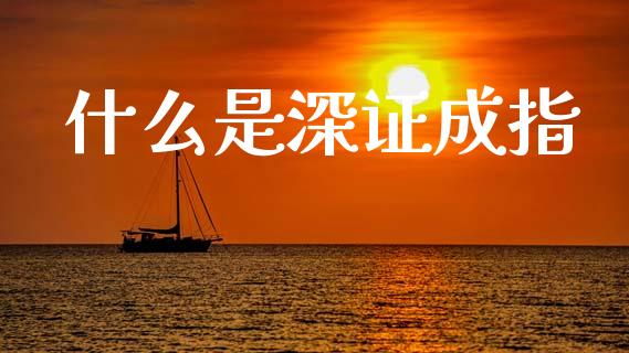 什么是深证成指_https://m.15771688.com_美国道指_第1张