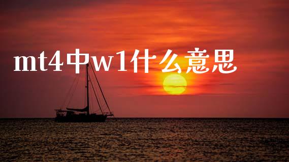 mt4中w1什么意思_https://m.15771688.com_道指实时行情_第1张