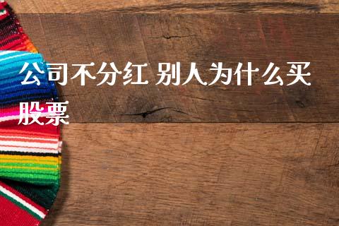 公司不分红 别人为什么买股票_https://m.15771688.com_美国道指_第1张