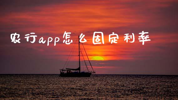 农行app怎么固定利率_https://m.15771688.com_美国道指_第1张