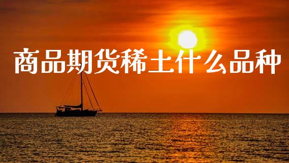 商品期货稀土什么品种_https://m.15771688.com_期货开户_第1张