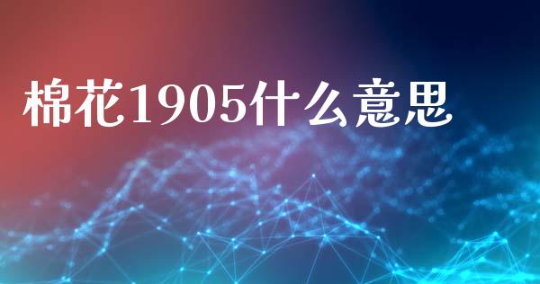 棉花1905什么意思_https://m.15771688.com_期货手续费_第1张