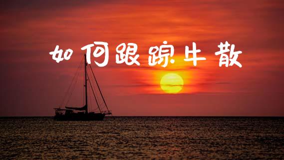 如何跟踪牛散_https://m.15771688.com_美国道指_第1张