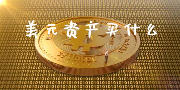 美元资产买什么_https://m.15771688.com_道指实时行情_第1张
