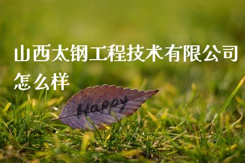 山西太钢工程技术有限公司怎么样_https://m.15771688.com_期货手续费_第1张