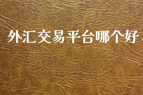 外汇交易平台哪个好_https://m.15771688.com_道指实时行情_第1张