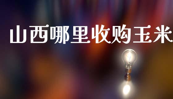 山西哪里收购玉米_https://m.15771688.com_期货手续费_第1张