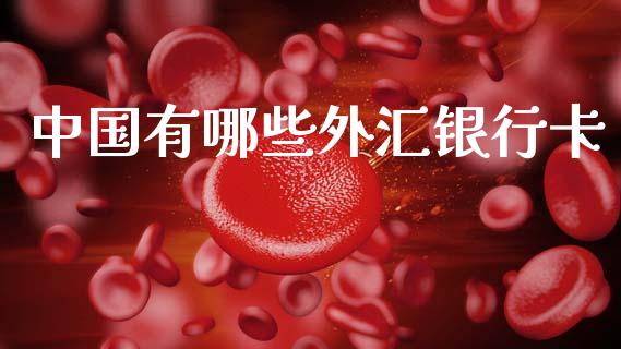 中国有哪些外汇银行卡_https://m.15771688.com_期货手续费_第1张