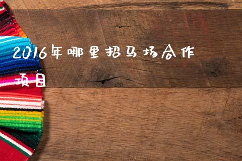 2016年哪里招马场合作项目_https://m.15771688.com_美国道指_第1张