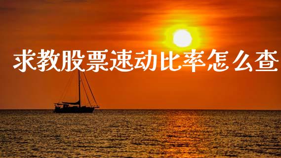 求教股票速动比率怎么查_https://m.15771688.com_期货手续费_第1张