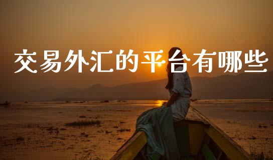 交易外汇的平台有哪些_https://m.15771688.com_道指实时行情_第1张