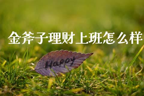 金斧子理财上班怎么样_https://m.15771688.com_美国道指_第1张