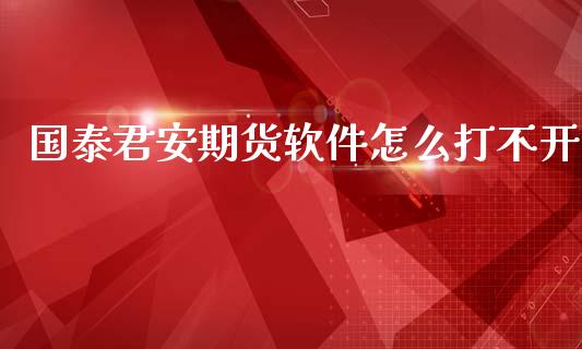 国泰君安期货软件怎么打不开_https://m.15771688.com_期货开户_第1张