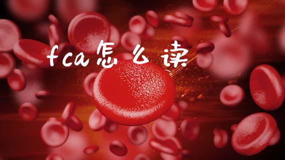 fca怎么读_https://m.15771688.com_道指实时行情_第1张