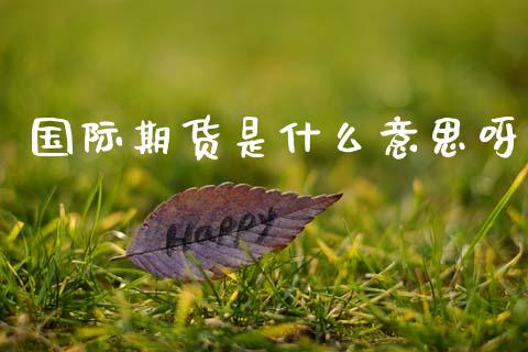 国际期货是什么意思呀_https://m.15771688.com_道指实时行情_第1张