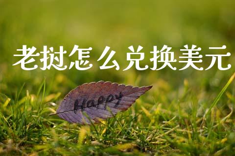 老挝怎么兑换美元_https://m.15771688.com_美国道指_第1张