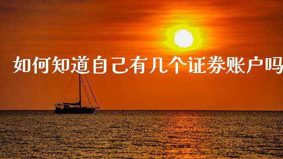 如何知道自己有几个证券账户吗_https://m.15771688.com_期货开户_第1张