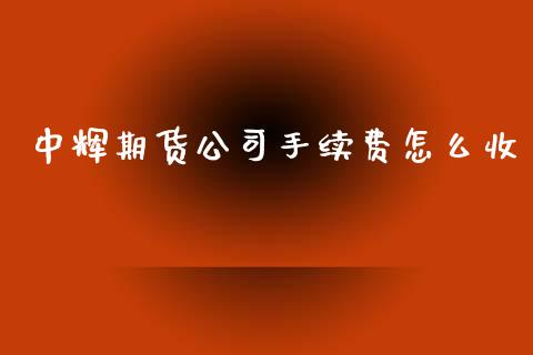 中辉期货公司手续费怎么收_https://m.15771688.com_期货开户_第1张