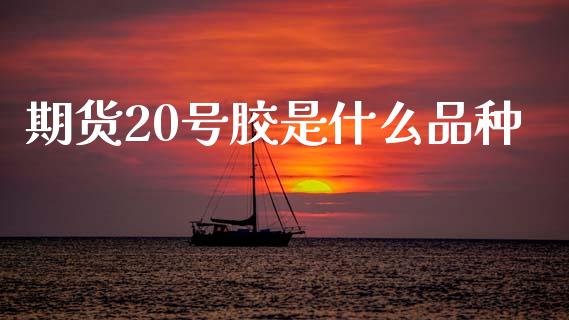 期货20号胶是什么品种_https://m.15771688.com_美国道指_第1张