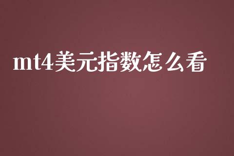 mt4美元指数怎么看_https://m.15771688.com_期货开户_第1张
