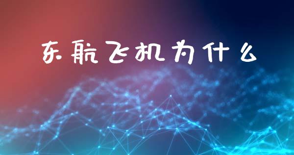东航飞机为什么_https://m.15771688.com_美国道指_第1张