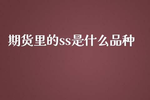 期货里的ss是什么品种_https://m.15771688.com_道指实时行情_第1张