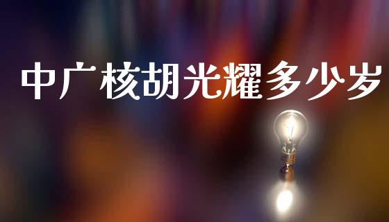中广核胡光耀多少岁_https://m.15771688.com_道指实时行情_第1张