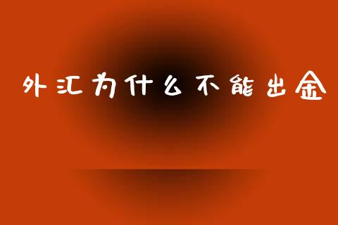 外汇为什么不能出金_https://m.15771688.com_期货手续费_第1张