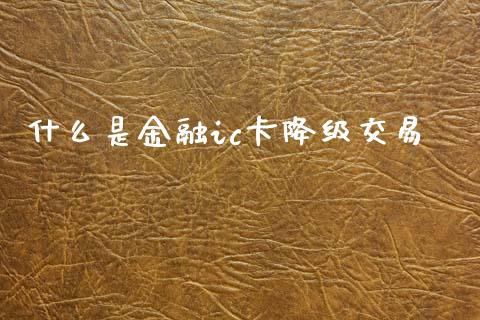什么是金融ic卡降级交易_https://m.15771688.com_道指实时行情_第1张