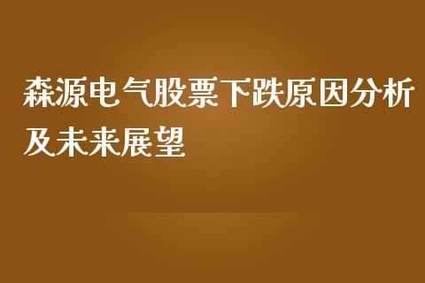 森源电气股票下跌原因分析及未来展望_https://m.15771688.com_美国道指_第1张