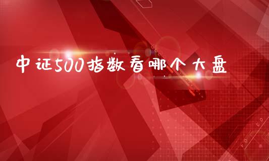 中证500指数看哪个大盘_https://m.15771688.com_道指实时行情_第1张
