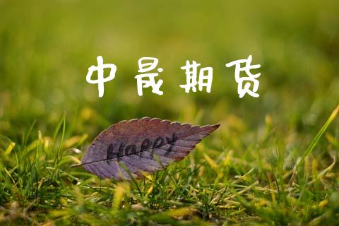 中晟期货_https://m.15771688.com_美国道指_第1张