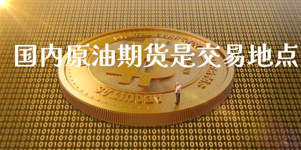 国内原油期货是交易地点_https://m.15771688.com_期货开户_第1张