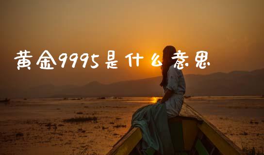 黄金9995是什么意思_https://m.15771688.com_期货手续费_第1张