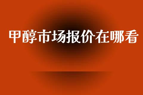 甲醇市场报价在哪看_https://m.15771688.com_期货开户_第1张