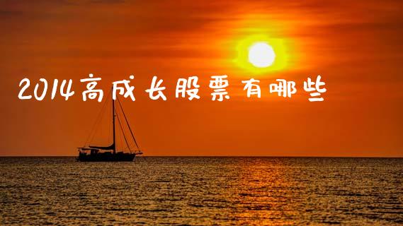 2014高成长股票有哪些_https://m.15771688.com_期货开户_第1张