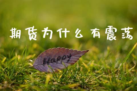期货为什么有震荡_https://m.15771688.com_道指实时行情_第1张