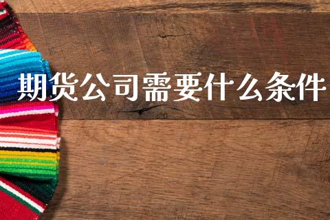 期货公司需要什么条件_https://m.15771688.com_道指实时行情_第1张