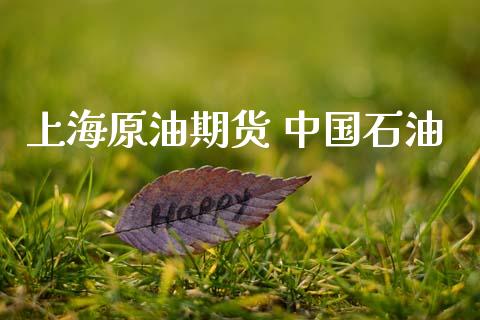 上海原油期货 中国石油_https://m.15771688.com_美国道指_第1张