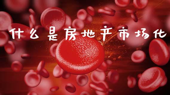 什么是房地产市场化_https://m.15771688.com_美国道指_第1张