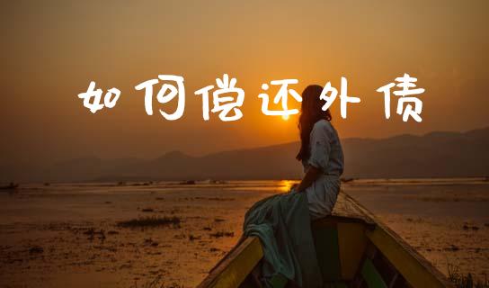 如何偿还外债_https://m.15771688.com_道指实时行情_第1张