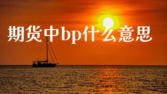 期货中bp什么意思_https://m.15771688.com_美国道指_第1张
