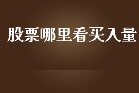 股票哪里看买入量_https://m.15771688.com_期货开户_第1张