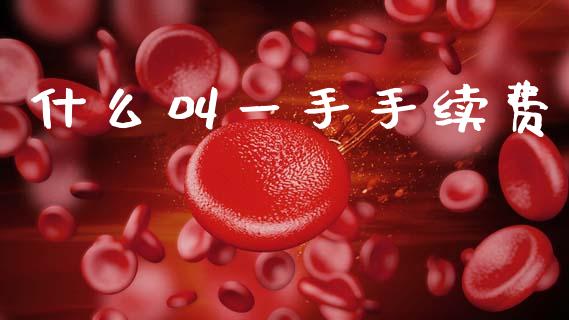 什么叫一手手续费_https://m.15771688.com_期货手续费_第1张