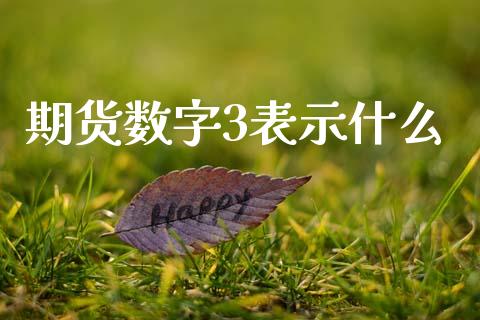 期货数字3表示什么_期货手续费_第1张_期货开户_期货手续费_道指实时行情_美国道指 期货数字3表示什么_https://m.15771688.com_期货手续费_第1张