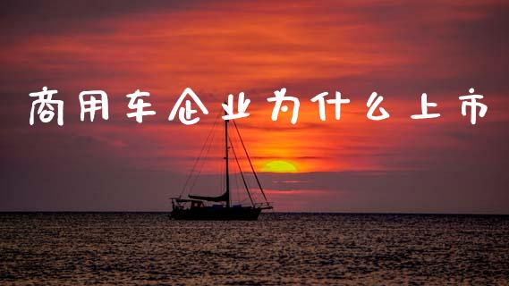 商用车企业为什么上市_https://m.15771688.com_美国道指_第1张