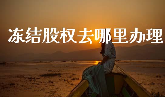 冻结股权去哪里办理_https://m.15771688.com_期货手续费_第1张